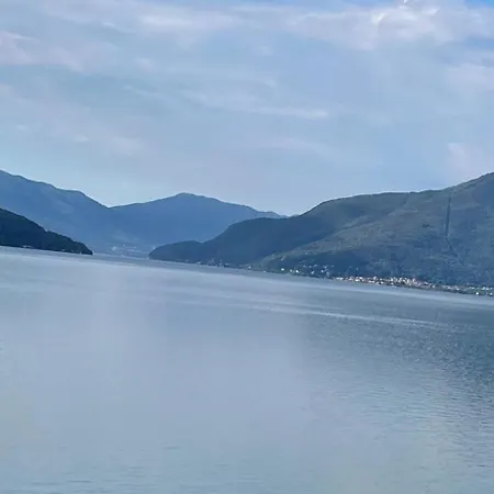 Ramarro Appartamento Ronco sopra Ascona